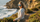 beach sunglasses - sunglasses to wear at the beach - SunHeist Sunglasses