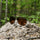 eco friendly sunglasses | SunHeist eco friendly sunglasses