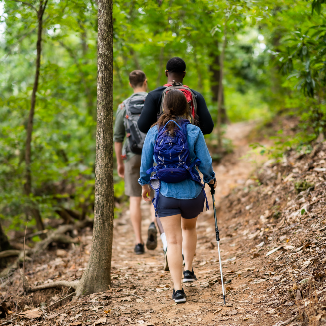 What to Pack for a Day Hike: Essentials for Comfort, Safety, and Performance