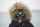 Top Winter Activities Post