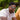 Spruce | Adventure Sunglasses