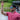 Cypress | Adventure Sunglasses