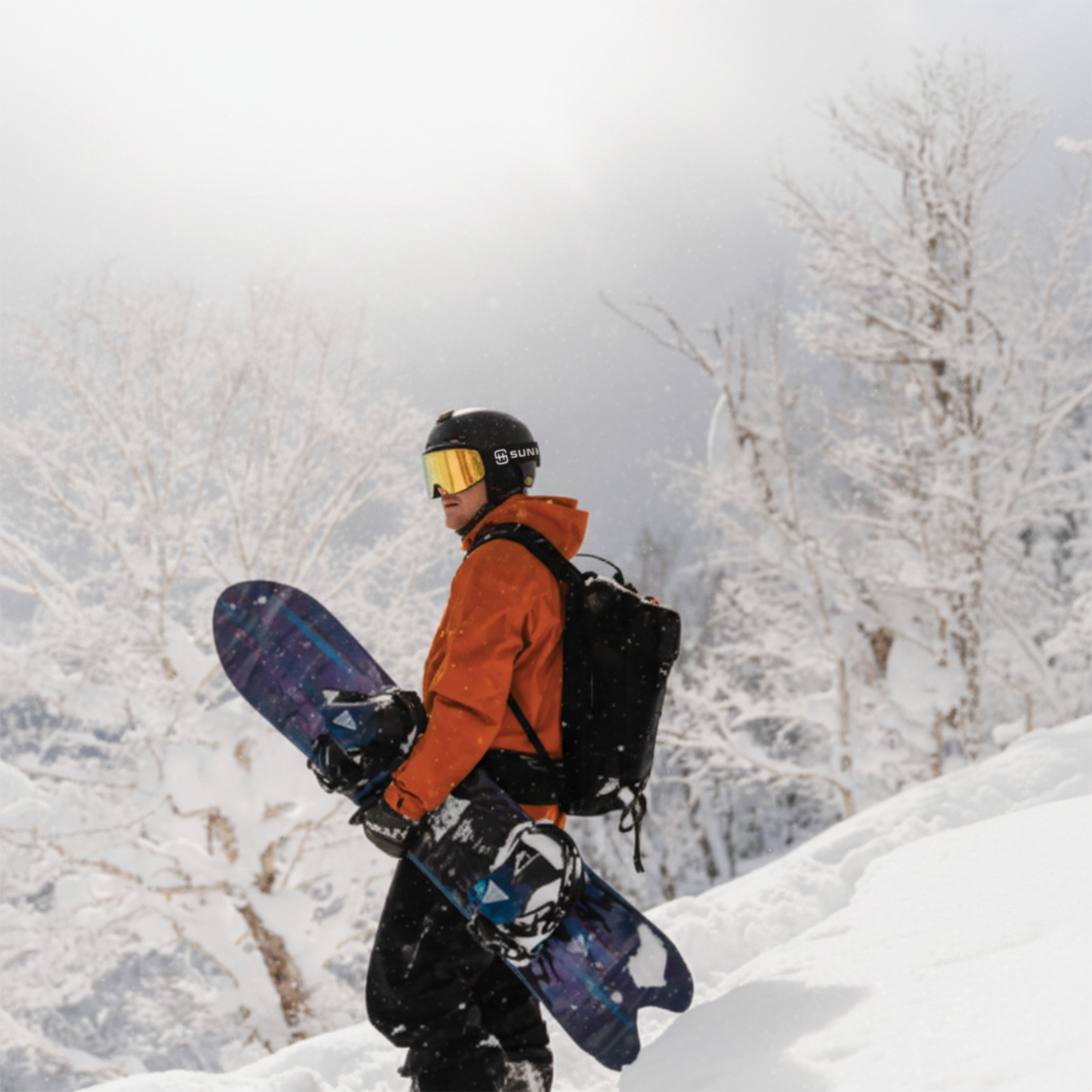 Evergreen | Adventure Ski/Snowboard Goggle