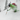 Evergreen | Adventure Ski/Snowboard Goggle
