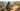 Olive | Adventure Sunglasses