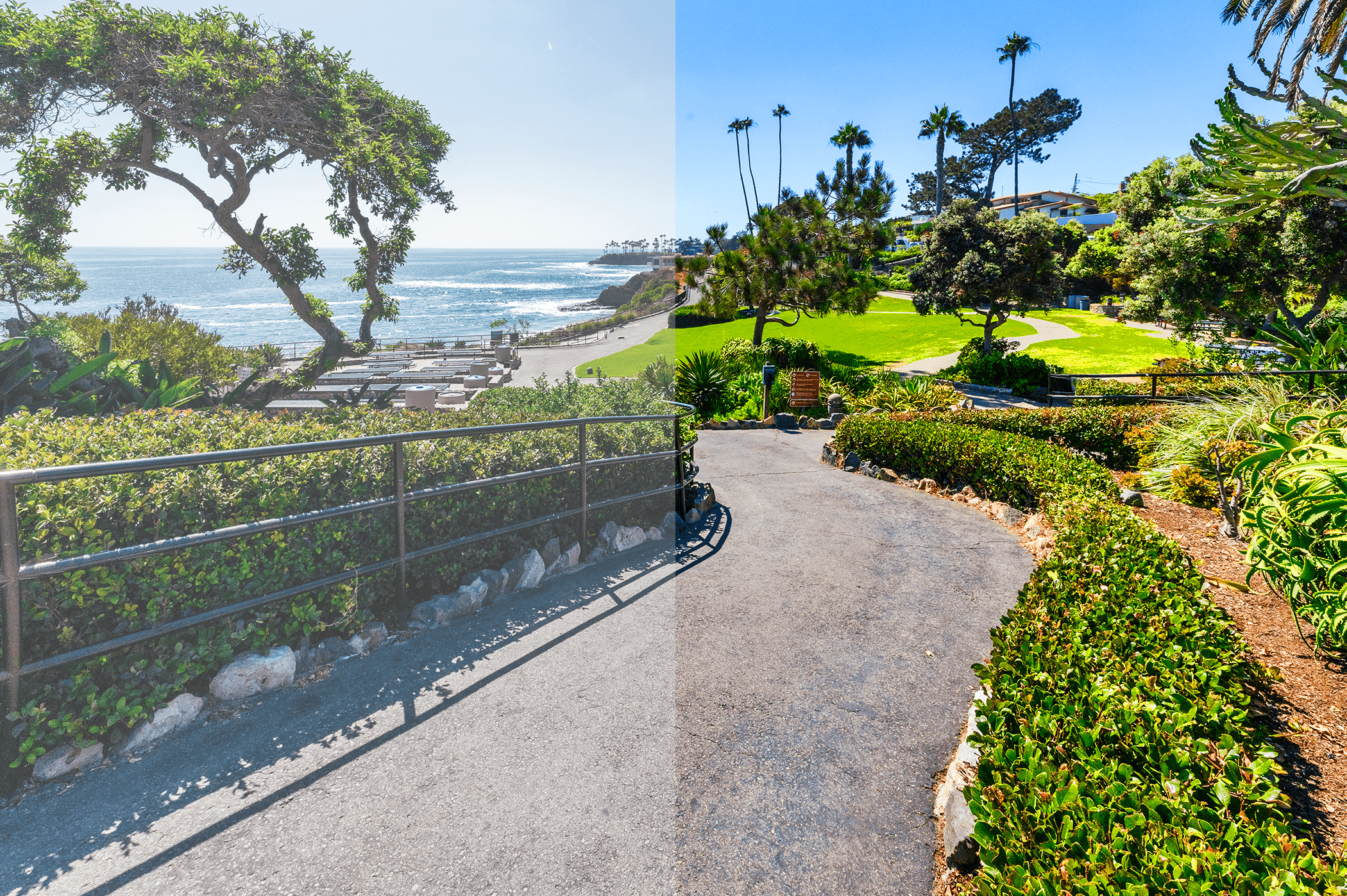 Cherry Closeouts | Adventure Sunglasses