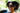 Palm | Adventure Sunglasses