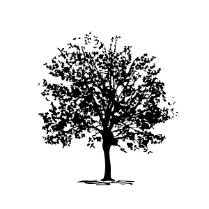 Tree Icon