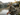 Willow | Adventure Sunglasses