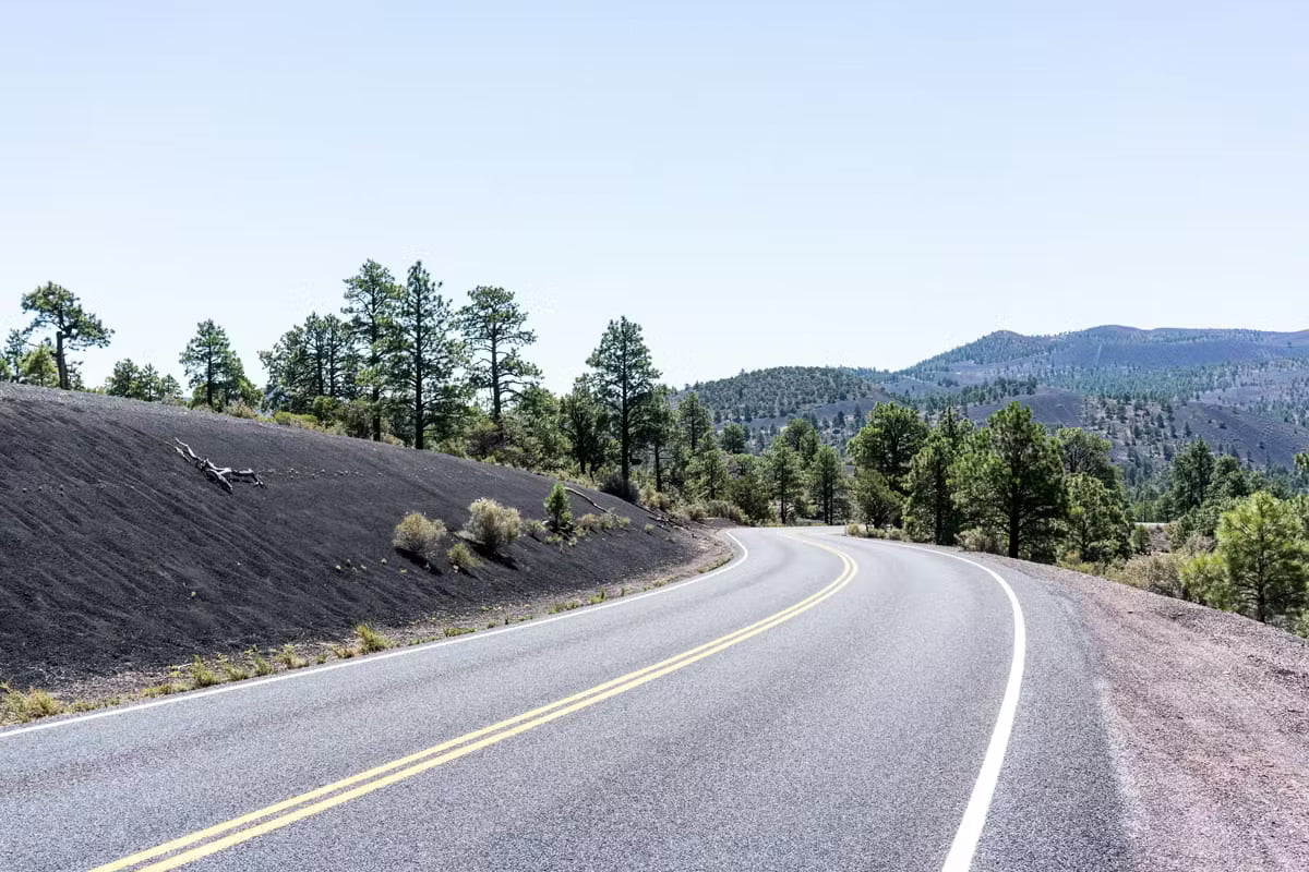 Winding road through a forested area with mountains in the background